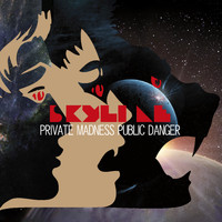 Skyline - Private Madness Public Danger