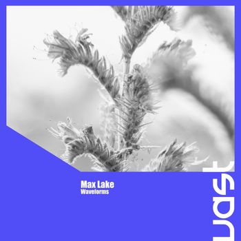 Max Lake - Waveforms