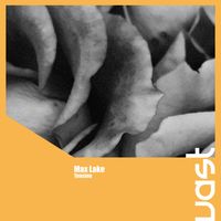 Max Lake - Tension