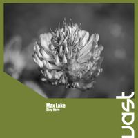 Max Lake - Stay Here
