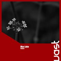 Max Lake - Future