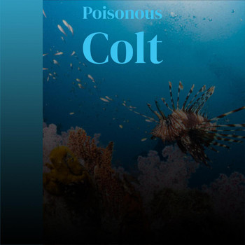 Various Artists - Poisonous Colt