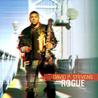 David P Stevens - Rogue