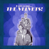 The Velvets - Here Come... The Velvets!
