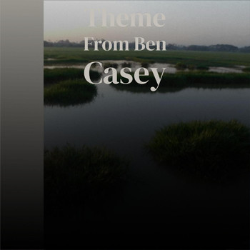 Various Artist - Theme From Ben Casey