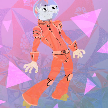 B - PirateSpaceCamel