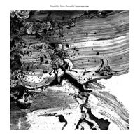 Mamiffer - Mare Decendrii / solo piano form Instrumentals