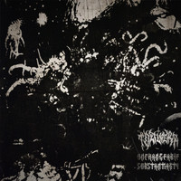 TORTURERR - Unchangeable Substantionality