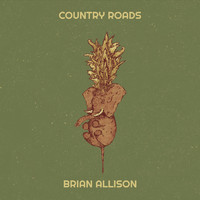 Brian Allison - Country Roads