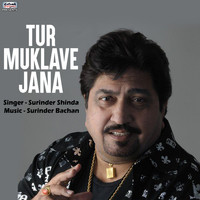 Surinder Shinda - Tur Muklave Jana - Single