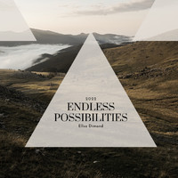 Ellsa Dimond - Endless Possibilities