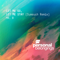 Mr. B - Let Me Go, Let Me Stay (Sumsuch Remix)