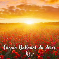 Frederic Chopin - Chopin Ballades du désir (Classic Meditation Music, Deep Concentration Music, Study Music)