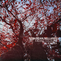 Sebastian Sellares - Fading Colours