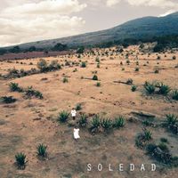 Flor de Toloache - Soledad