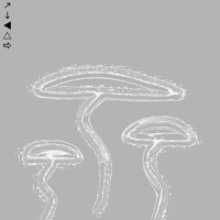 Fat Lips - Mushroom Sonata