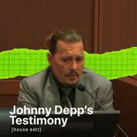 Artemjka - Johnny Depp’s Testimony