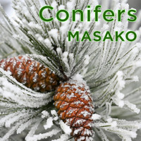 Masako - Conifers