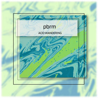 PBRM - Acid Wandering