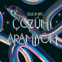 EGE - Çözüm Aramıyom