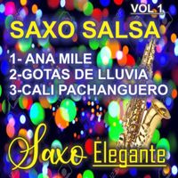 SAXO BELLO - SAXO SALSA ( VOL 1 )