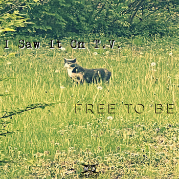 I Saw It On T.V. - Free to Be