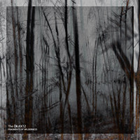The Öbjektz - Fragments of Wilderness