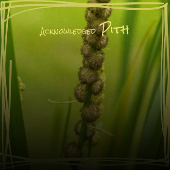 Various Artists - Acknowledged Pith