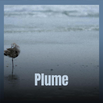 Various Artists - Plume