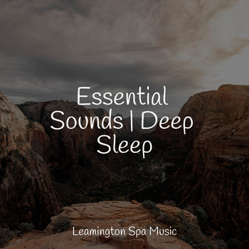 Restless Baby Music, Big Sounds, Meditation Music Experience - Essential Sounds | Deep Sleep