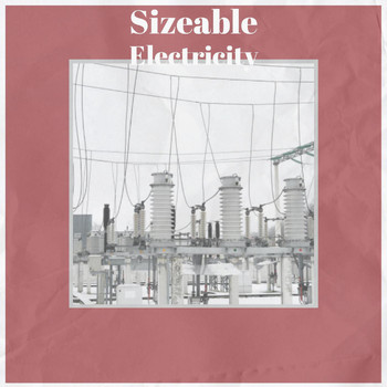 Various Artists - Sizeable Electricity