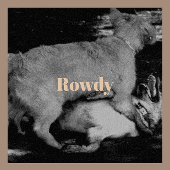 Various Artists - Rowdy