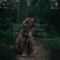 Sleep Music For Dogs, Dog Music, Sleepy Dogs - Sounds of Nature for Dogs | Asian Melodies | Sleep