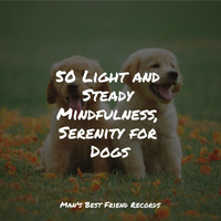 Dog Music Club, Calming Music for Dogs, Music For Dogs Peace - 50 Light and Steady Mindfulness, Serenity for Dogs