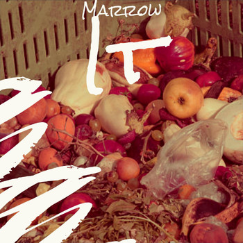 Various Artists - Marrow It
