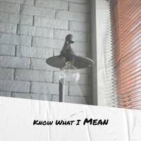 Various Artist - Know What I Mean