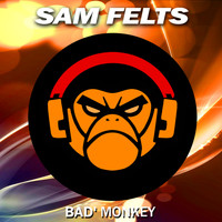 Sam Felts - Believe