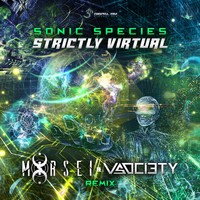 Sonic Species - Strictly Virtual (Morsei & V-Society Remix)