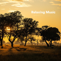 Reiki, Reiki Healing Consort, Reiki Tribe - Relaxing Music