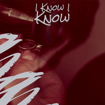 Various Artist - I Know I Know
