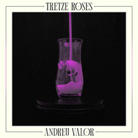 Andreu Valor - Tretze Roses