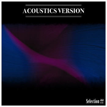 Various Artists - Acoustics Version Selection 22