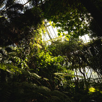 Kitsune - A New World to Explore - EP