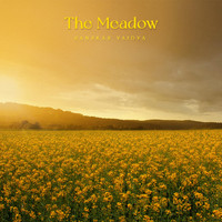 Sanskar Vaidya - The Meadow