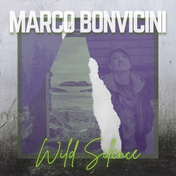 Marco Bonvicini - Wild Silence