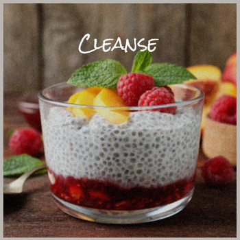 Various Artists - Cleanse
