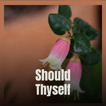 Various Artists - Should Thyself