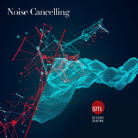 Stefan Zintel - Noise Cancelling (Free Your Mind from Disturbing Sounds)