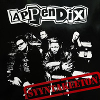 Appendix - Syyntakeeton