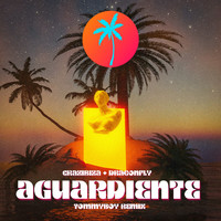 Crazibiza and DragonFly - Aguardiente (Tommyboy Remix)